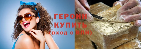 индика Надым