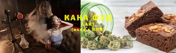 индика Надым