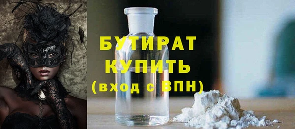 индика Надым