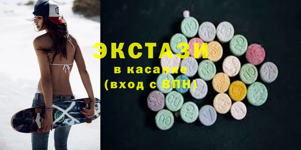 индика Надым