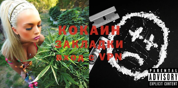 шишки Михайловка