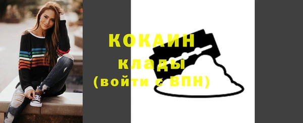 индика Надым