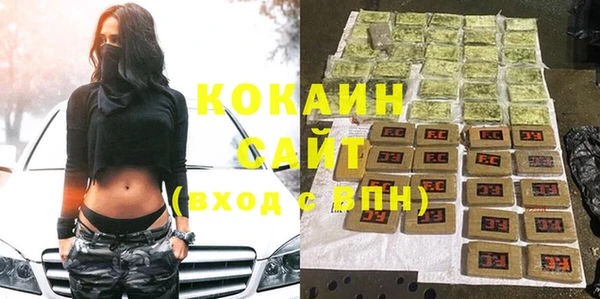 индика Надым