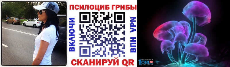 Галлюциногенные грибы MAGIC MUSHROOMS  где купить наркотик  Тейково 