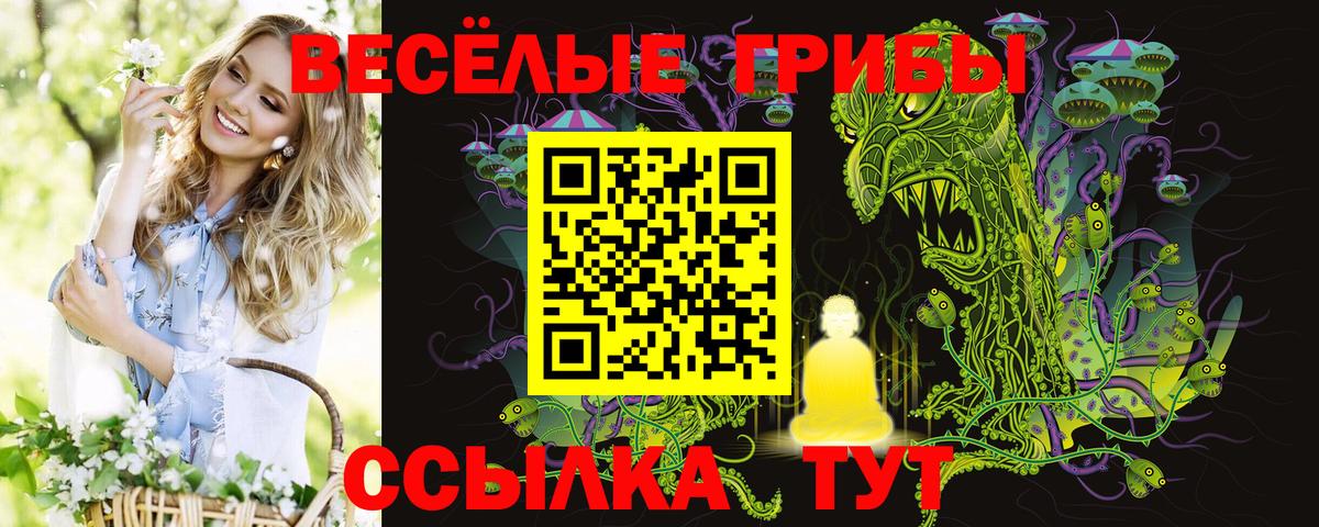 Меф   НБОМе  Бошки Шишки  Меф МЯУ МЯУ кристаллы  ЭКСТАЗИ  ГАШ  АМФ   Тейково  Кокаин 