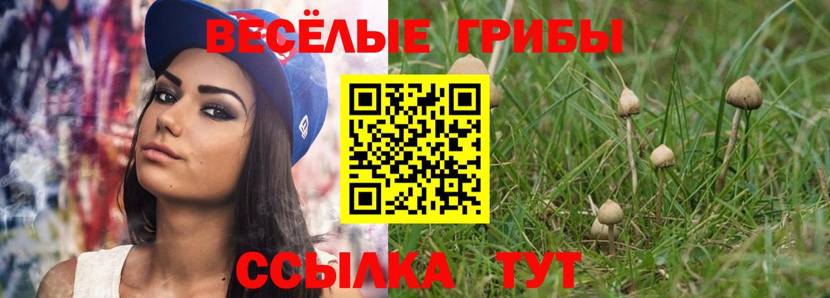 Псилоцибиновые грибы MAGIC MUSHROOMS Тейково