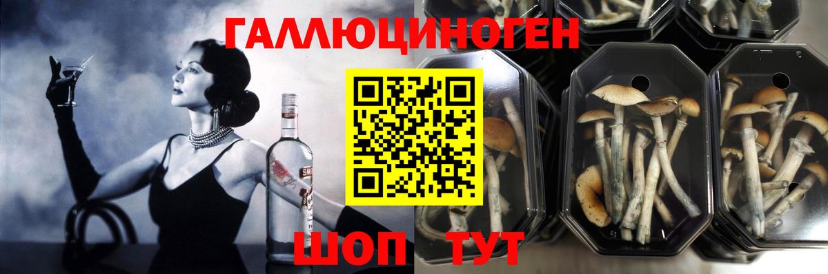 Галлюциногенные грибы ЛСД  Тейково  Галлюциногенные грибы мицелий 